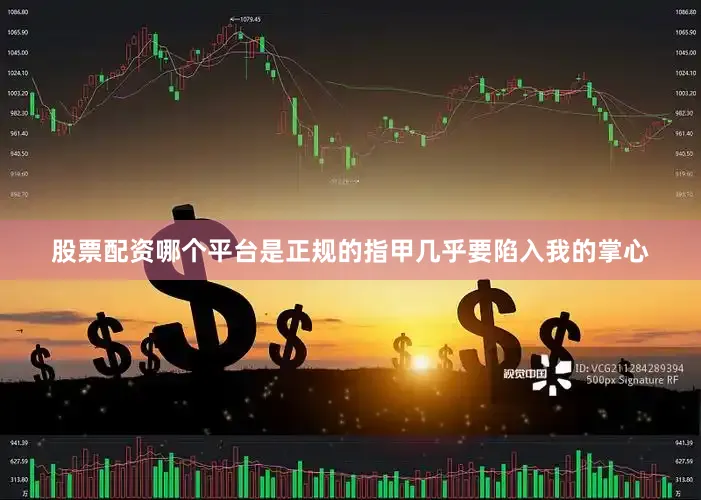 股票配资哪个平台是正规的指甲几乎要陷入我的掌心